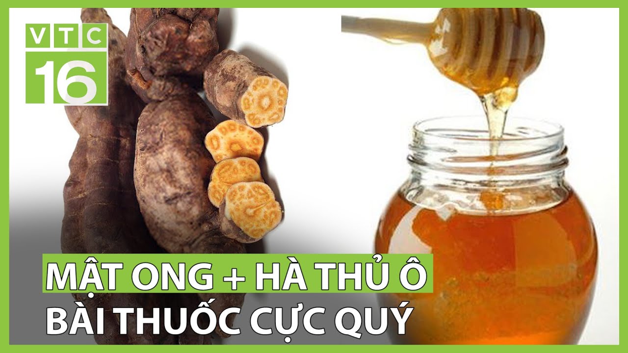 Bài thuốc chữa bệnh từ mật ong và hà thủ ô | VTC16