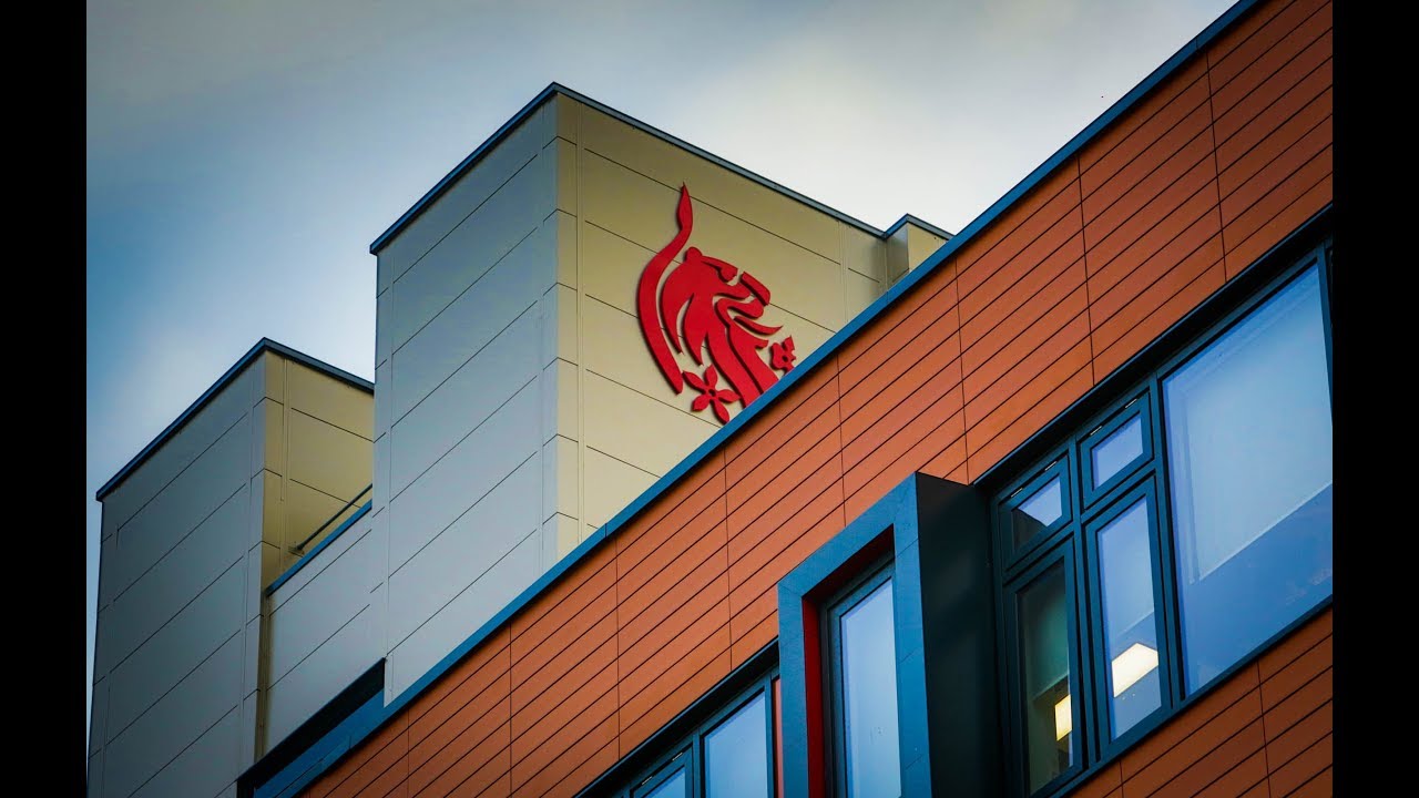 The DMU lion... how he came to be