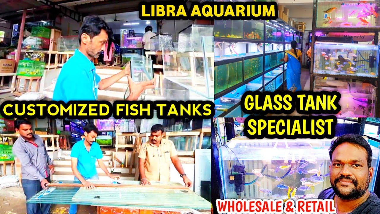 Libra aquarium | Kolathur Fish Market | Customized Aquarium Tanks | Fish Food & Accessories