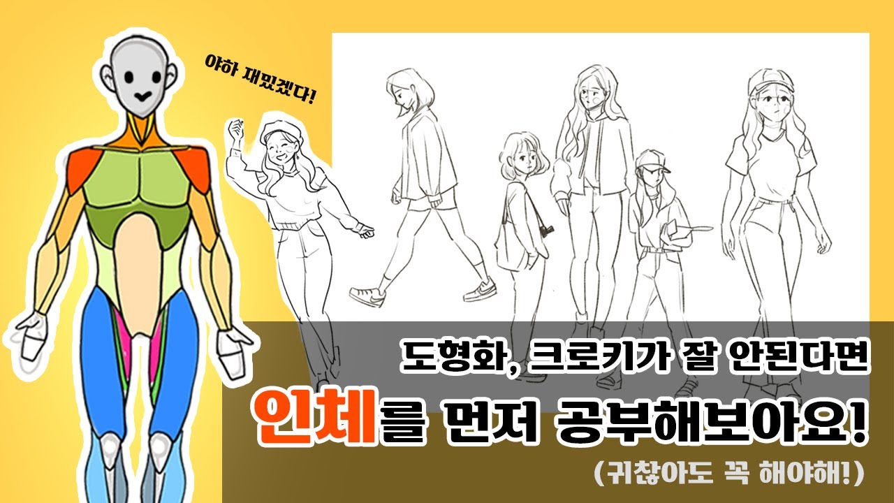 아~주 쉬운 인체의 이해!! 도형화와 크로키를 하기 전에 보면 좋은 인체 공부!