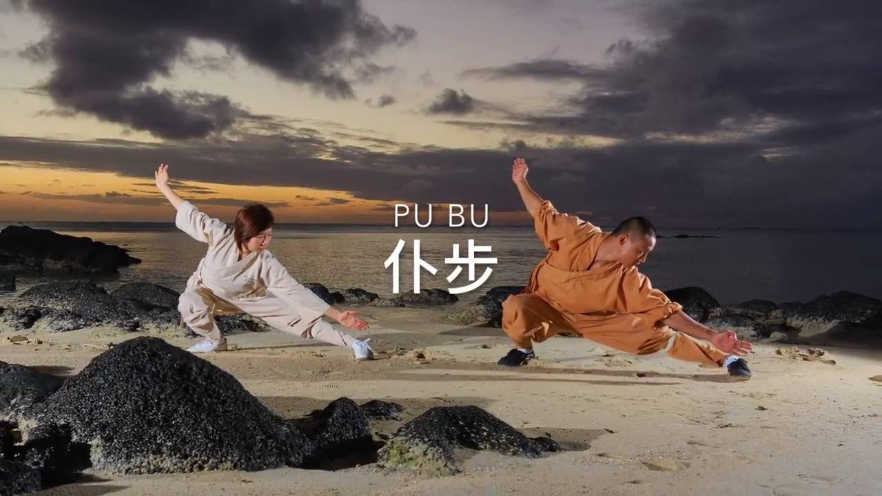 Tutorial - Wu Bu Quan 五步拳 HD
