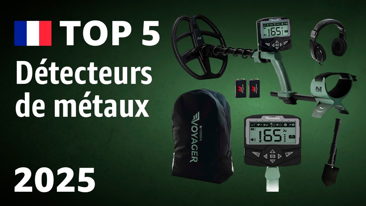 TOP—5. Meilleurs détecteurs de métaux. Test & Comparatif 2025