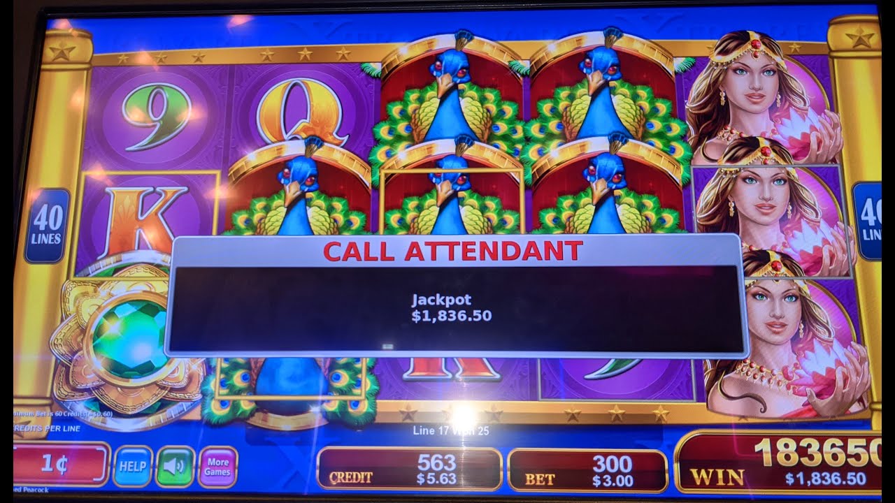 ADORNED PEACOCK by Konami Slot
