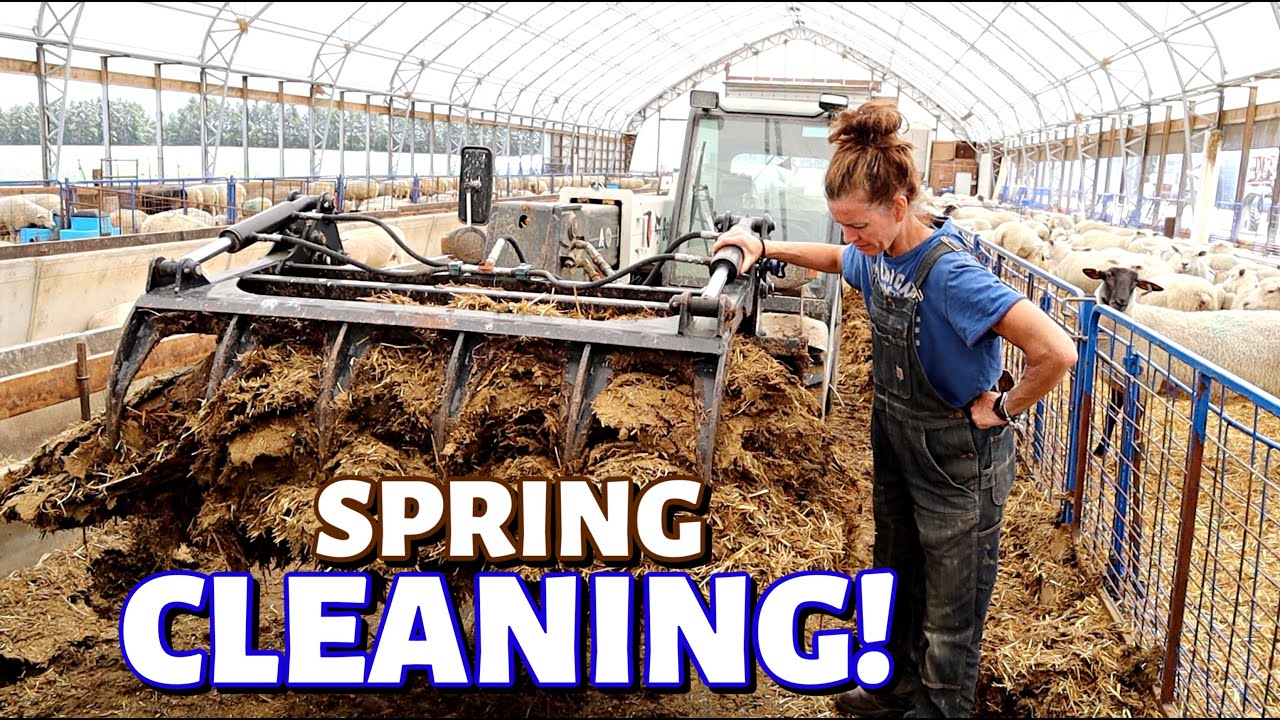 MY SHEEP BARN GOT A MAKEOVER!  (Cleaning the SHEEP BARN for LAMBING): Vlog 303