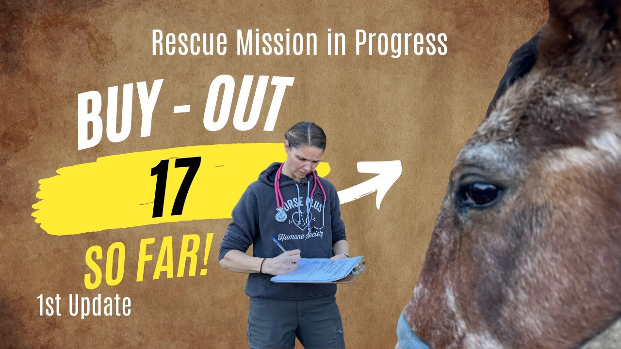 Rescue Mission in Progress: 1st update - Buy-Out - 17 so far!