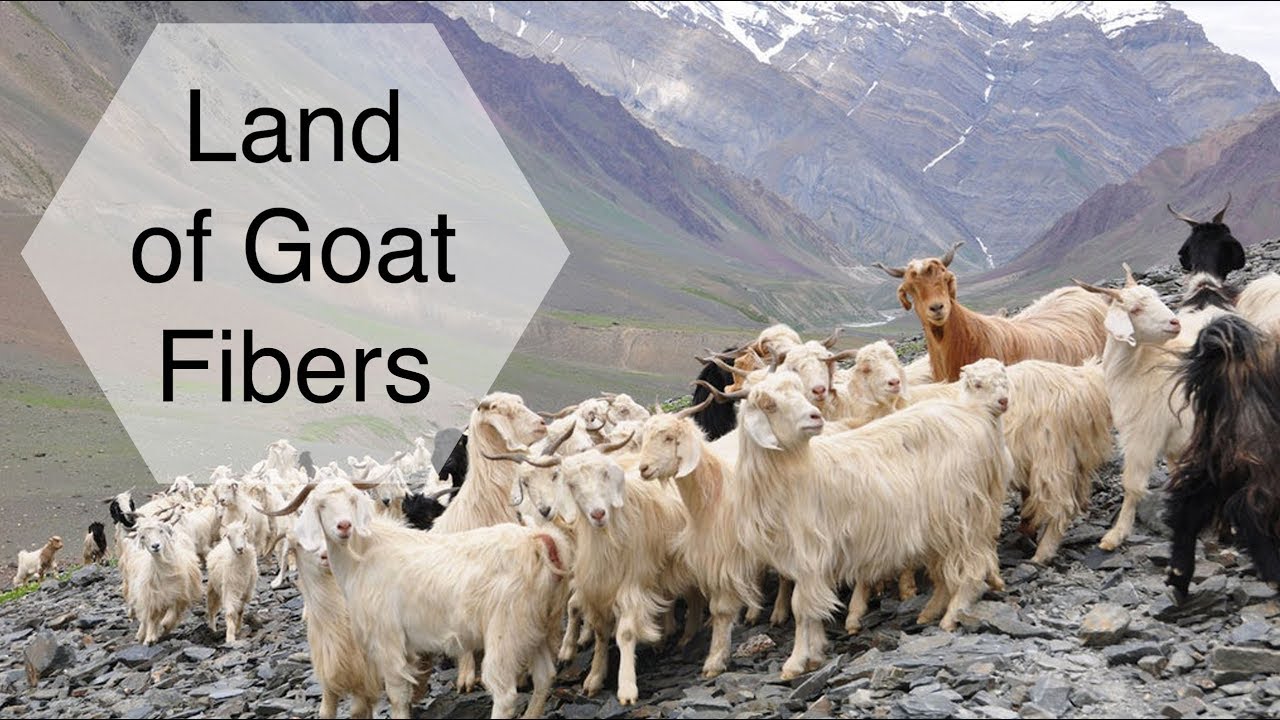 Knitting with Goat Fibers (Mohair and Cashmere)
