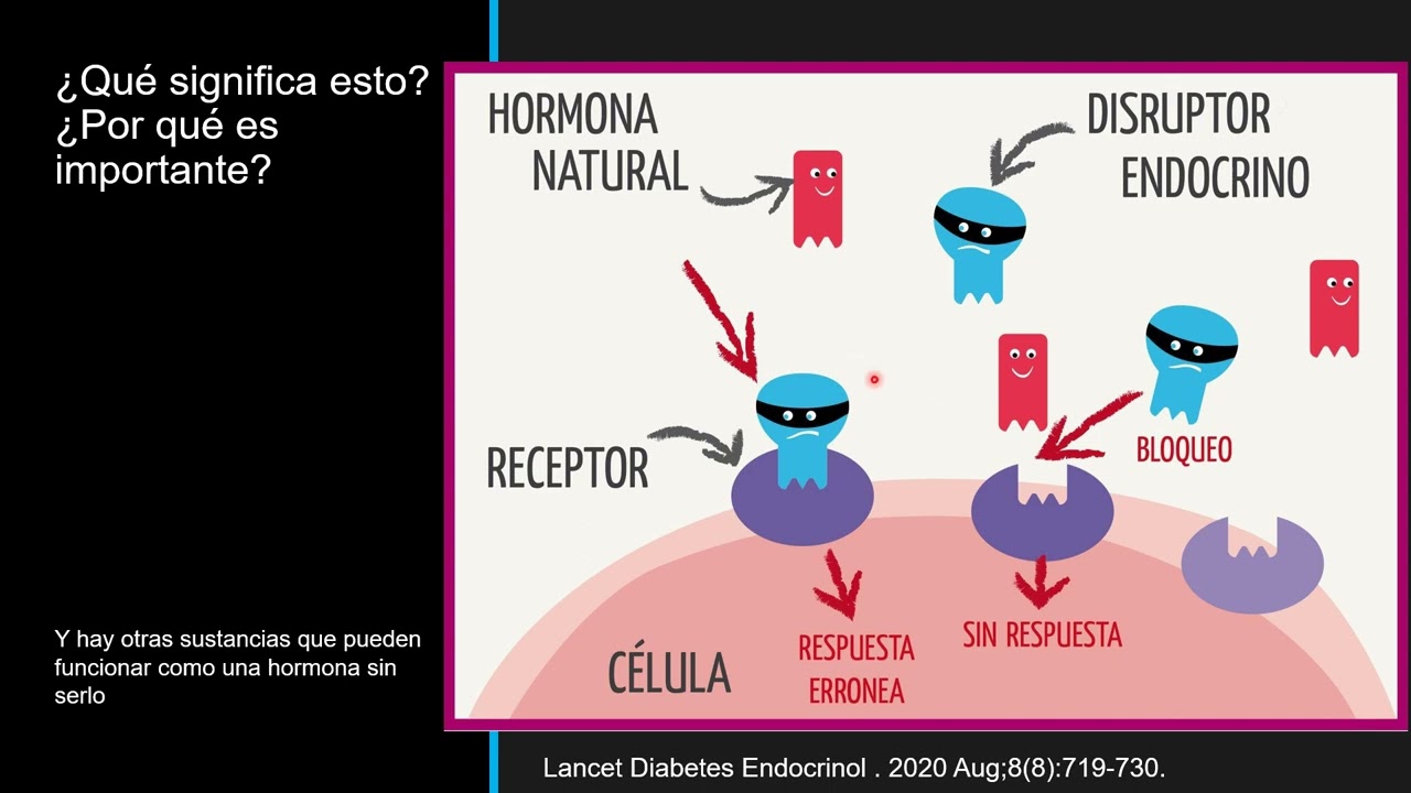 &iquest;Qu&eacute; es una hormona?