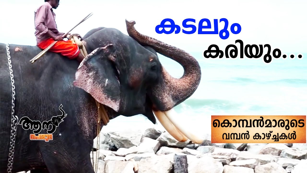 ചിറക്കര ശ്രീറാം | കടലും കരിയും  ഒന്നായ ദൃശ്യചാരുത | chirakkara sreeram | kollam aanakal