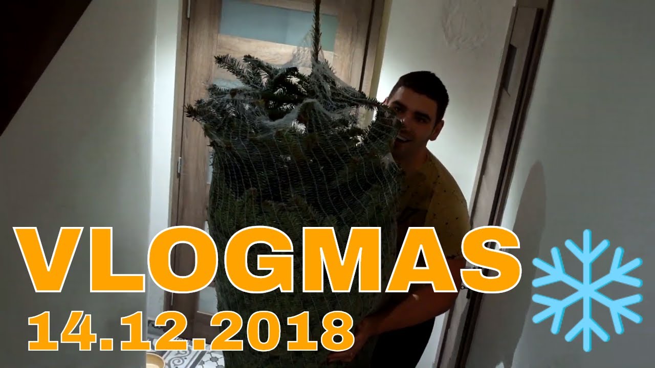 MÁME DOMA GIGANTICKÝ STROM | 14.12.2018 VLOGMAS