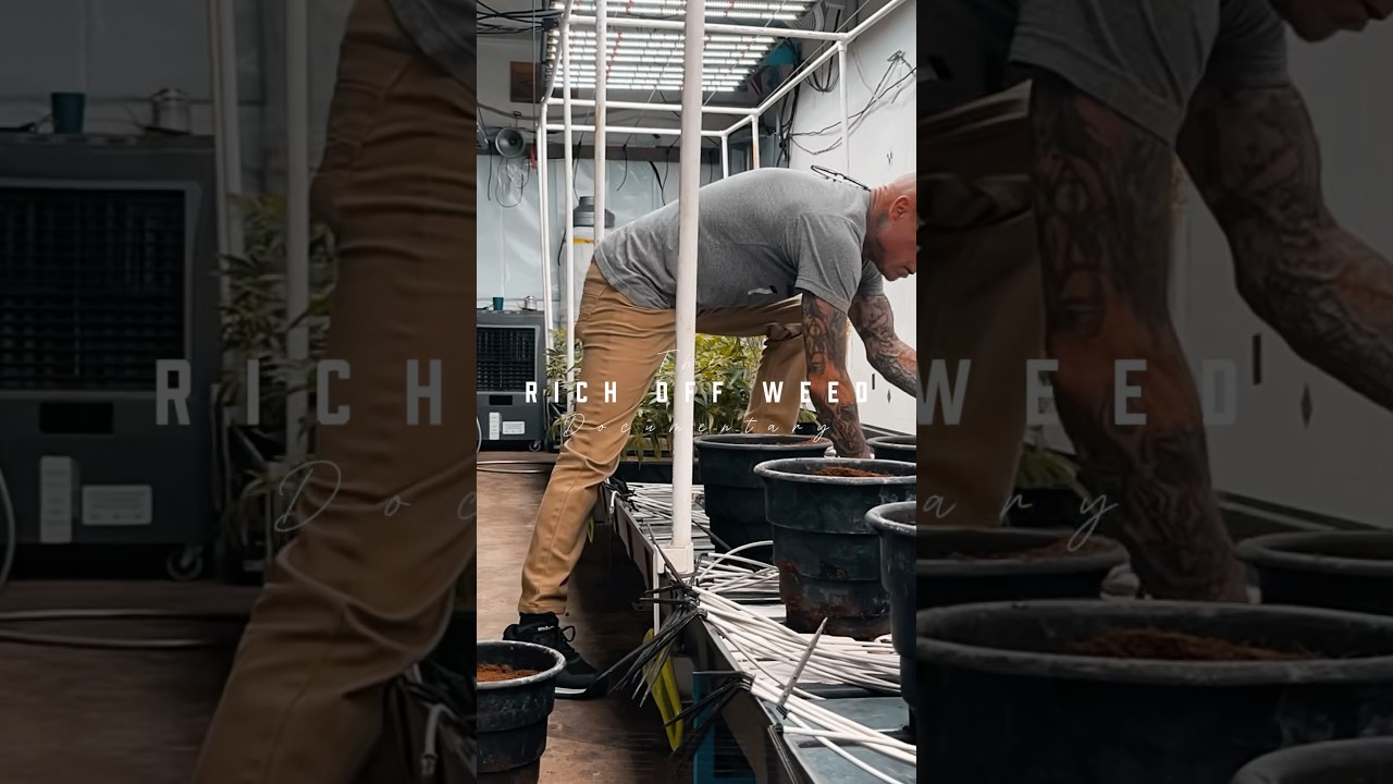 POT SNOB TV - NEW GROW of some TOP SHELF! Welcome to Pot Snob TV &ndash; where Cali culture comes to life.