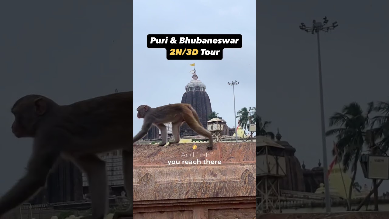 Best Odisha Tour Itinerary Puri and Bhubaneswar for 2Nights 3Days | Patra Travels
