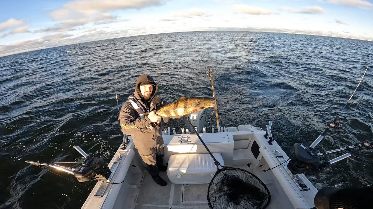 Trollingfiske efter Öring på Vänern