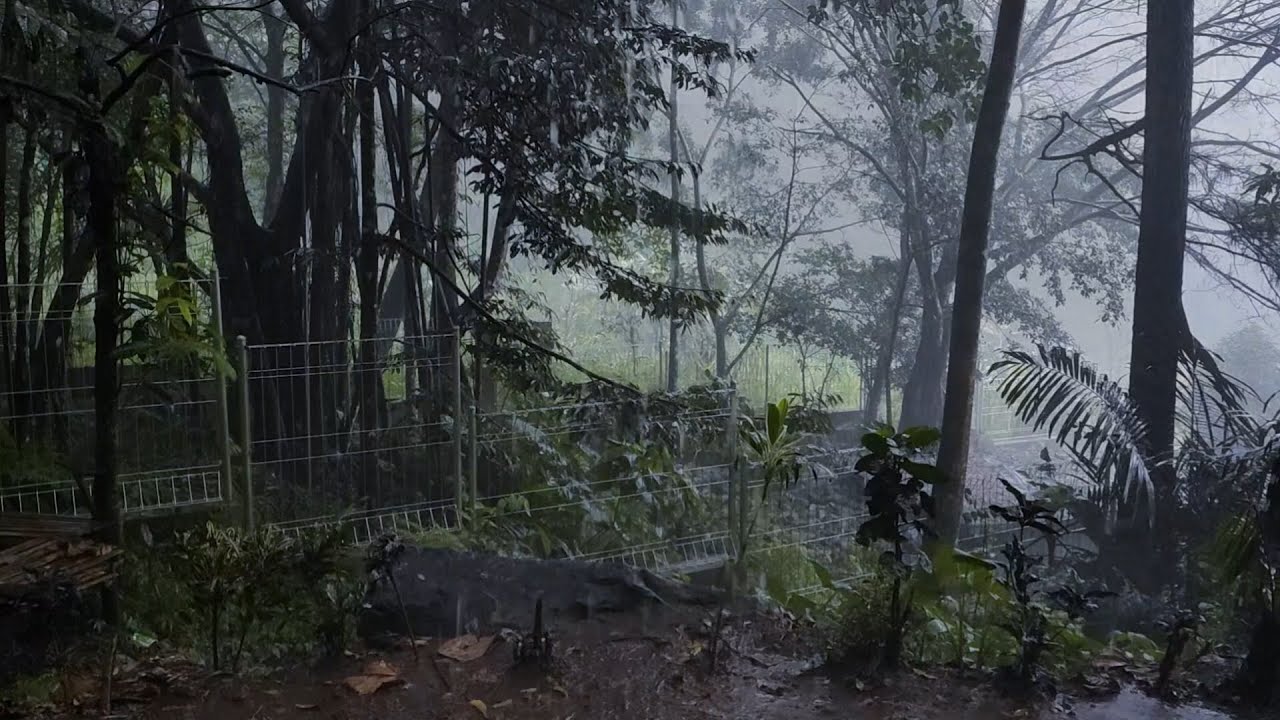 Rain Sounds for a Quiet Mind Tonight 🌧️ | Sleep & Relaxation