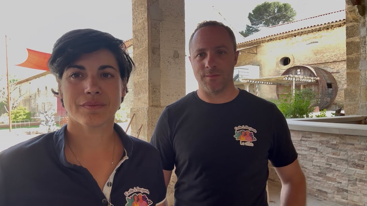 Notre histoire de viticulture