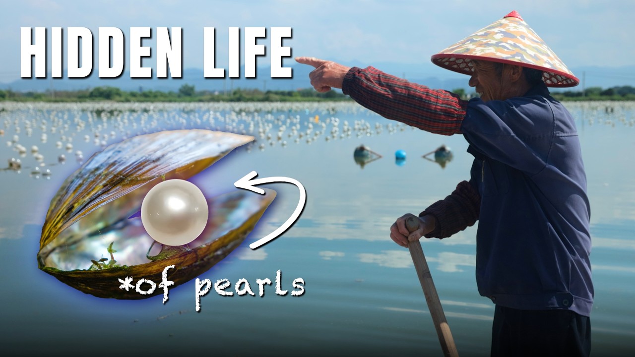 Freshwater Pearls: Journey from Farm to Market