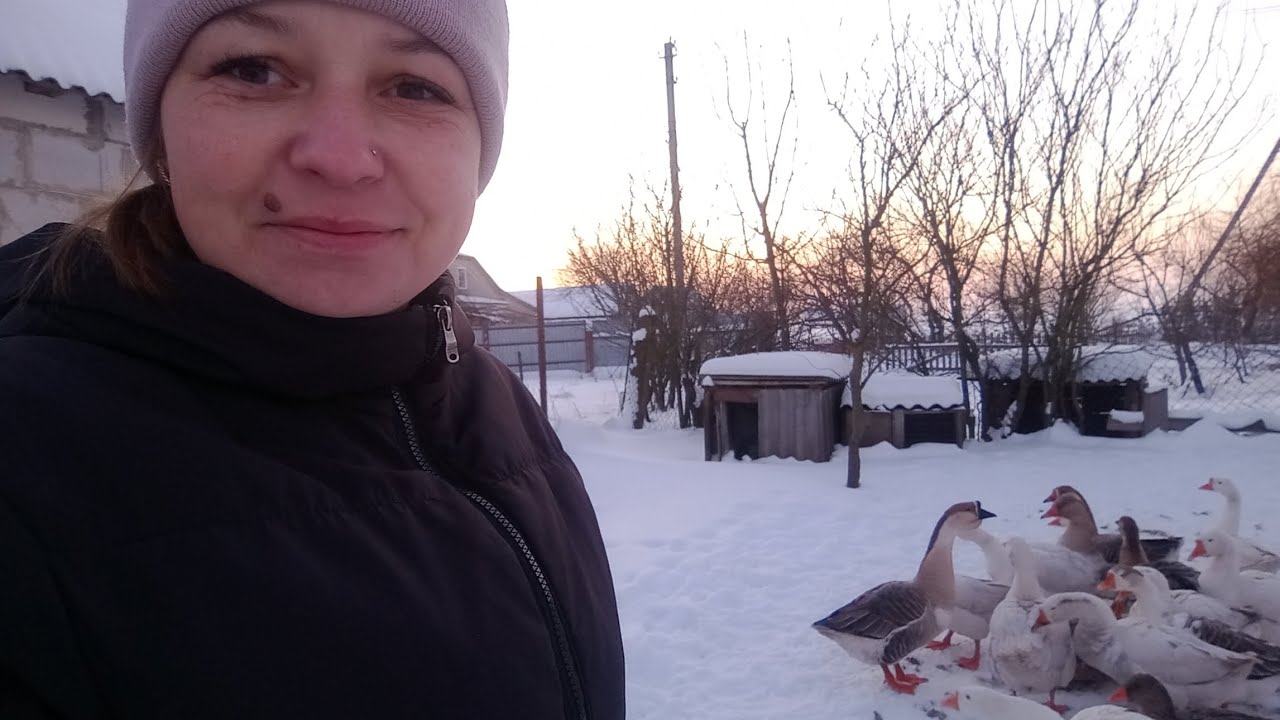 Такої лютої зими на Рівненщині давно не було...Господарство на морозі.