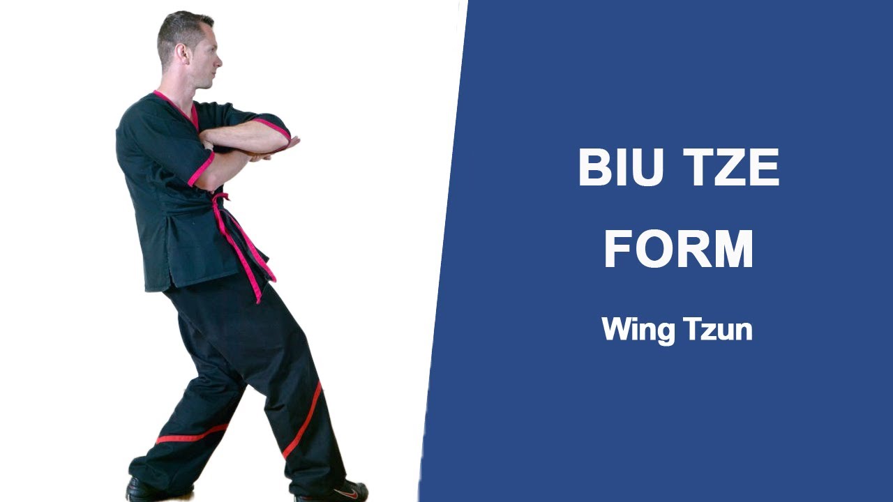 Biu Tze Form, stechende Finger die dritte Form im Wing Tzun