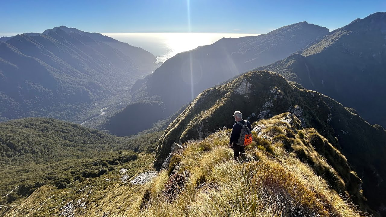 Fiordland WAPITI Hunting Mt Tanilba - Period 1 2025