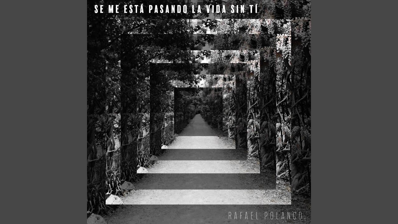 Se Me Está Pasando La Vida Sin Tí
