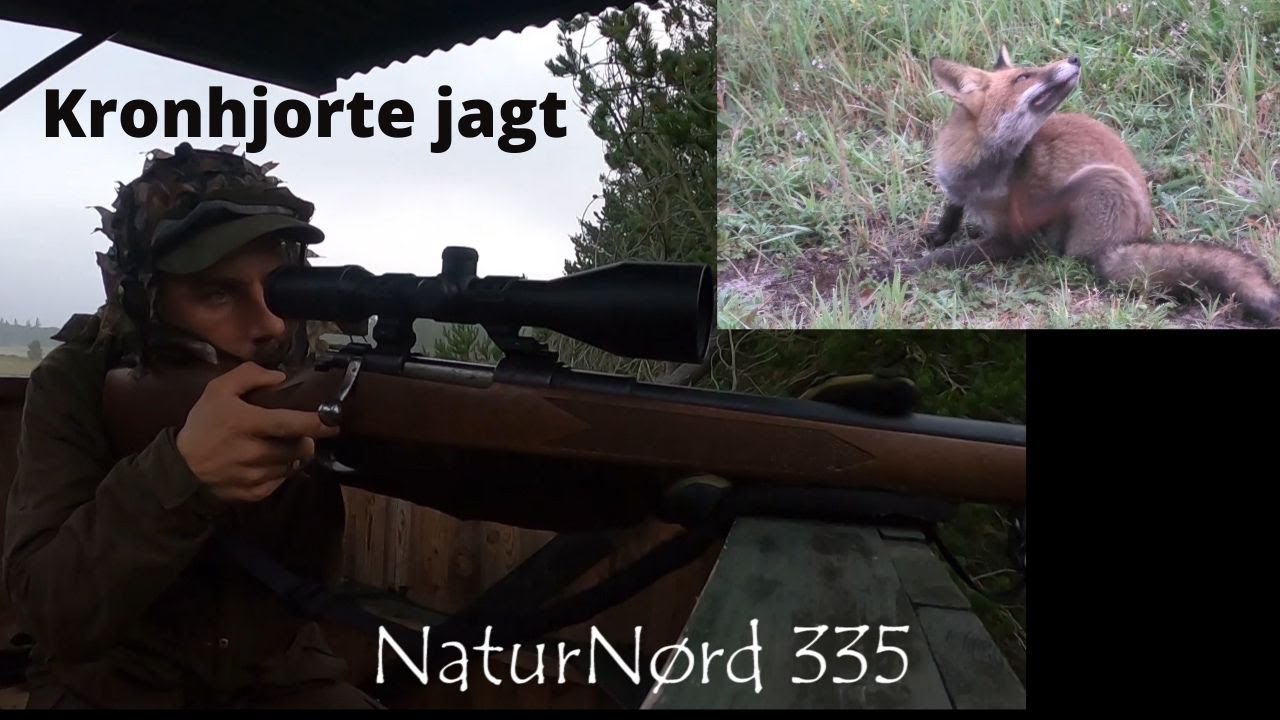 NaturNørd 335. Kronhjortejagt igen + Vind fede præmier!!!!!