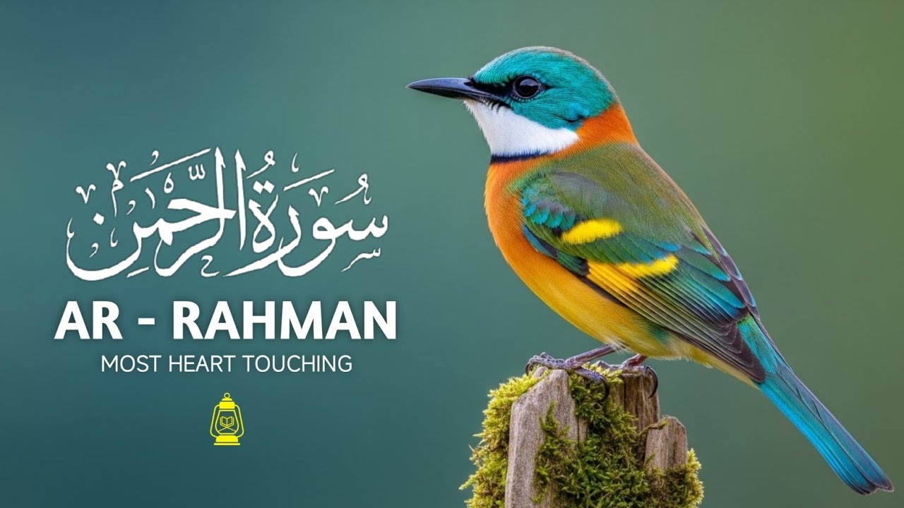 Surah Ar Rahman سورة الرحمن | Quran for Sleep & Healing Calming Verses for Tired Soul Alaa Aqel