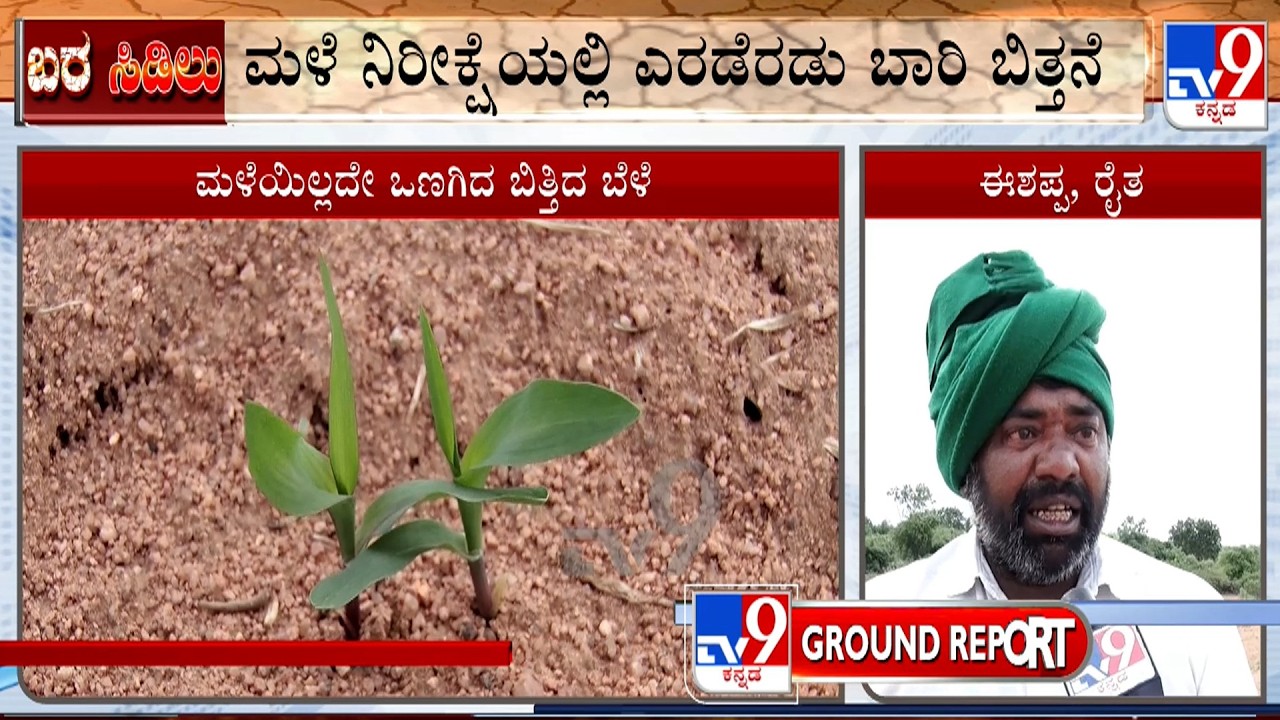 Koppal Farmers Hit By Severe Drought After Repeated Sowing Fails Due To No Rain