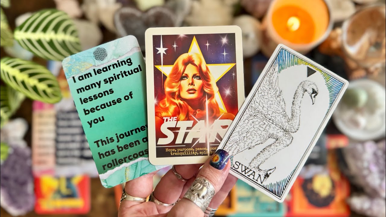“I am learning many lessons because of you!” They are in potent HEALING energy! 🦢TIMELESS READING 🦢