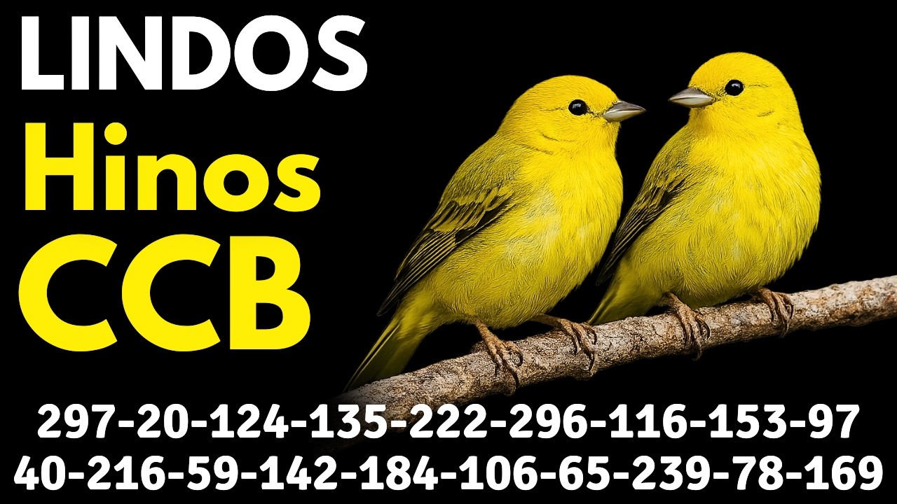 HINOS CCB 297-20-124-135-222-296-116-153-97-40-216-59-142-184-106-65-239-78-169 cantados