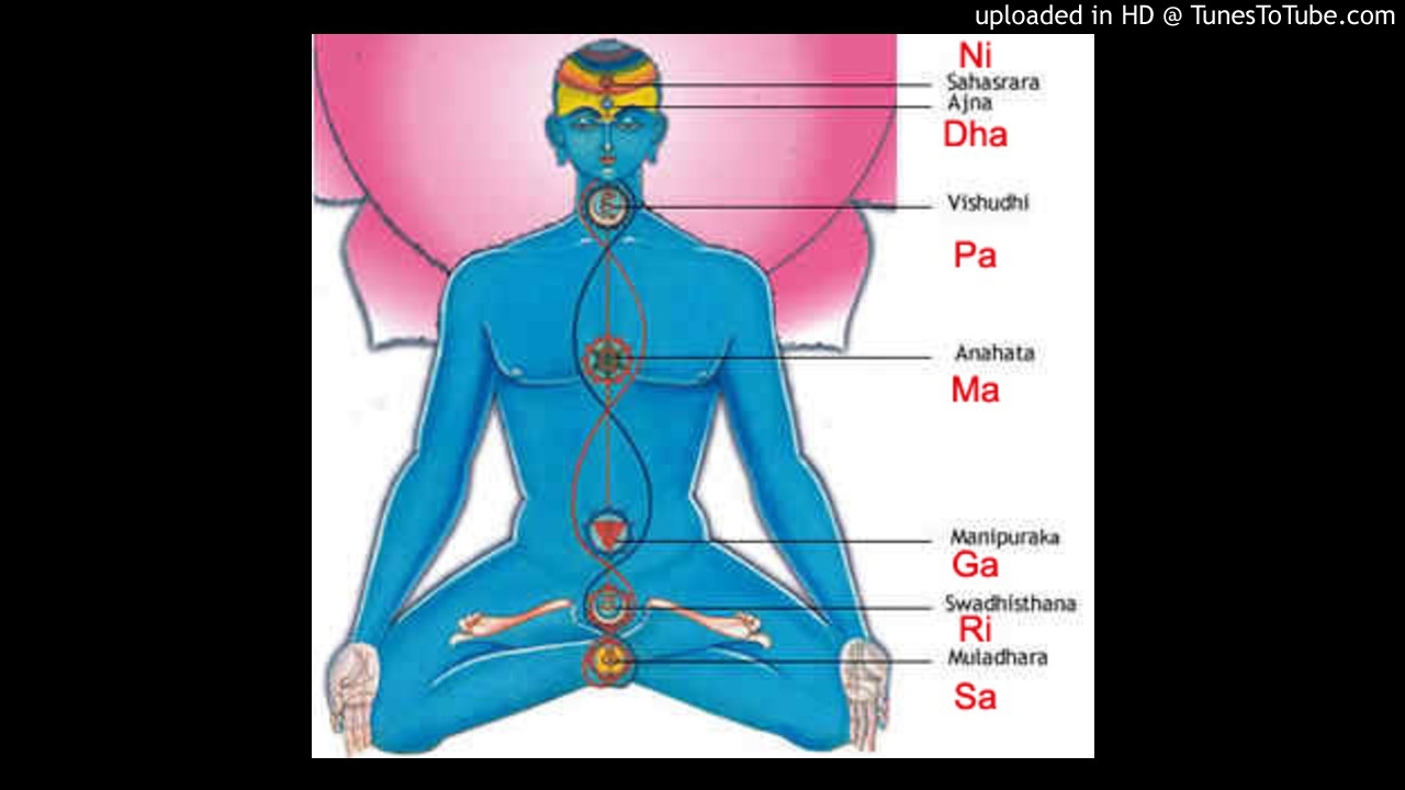 Shobillu Sapta Swara (Class / Lesson) - Jaganmohini - Rupakam - Tyagaraja