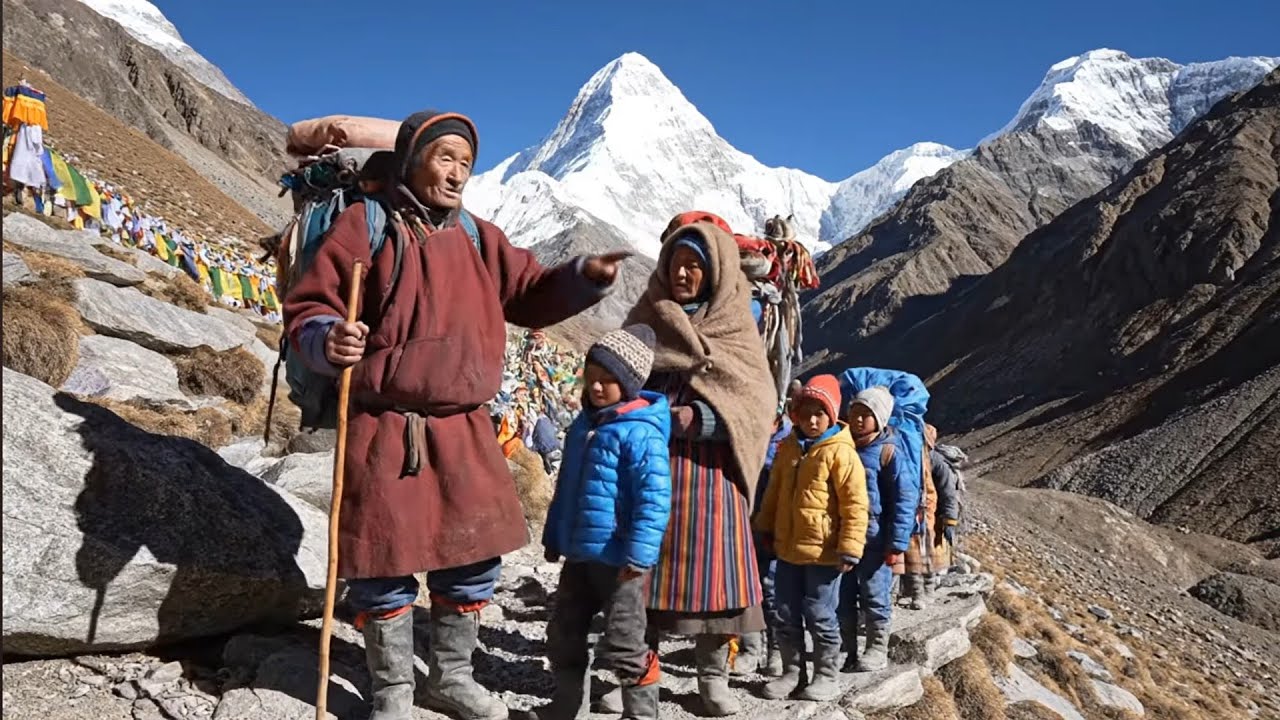 The Surprising Truth About SHERPA Nobody Tells You