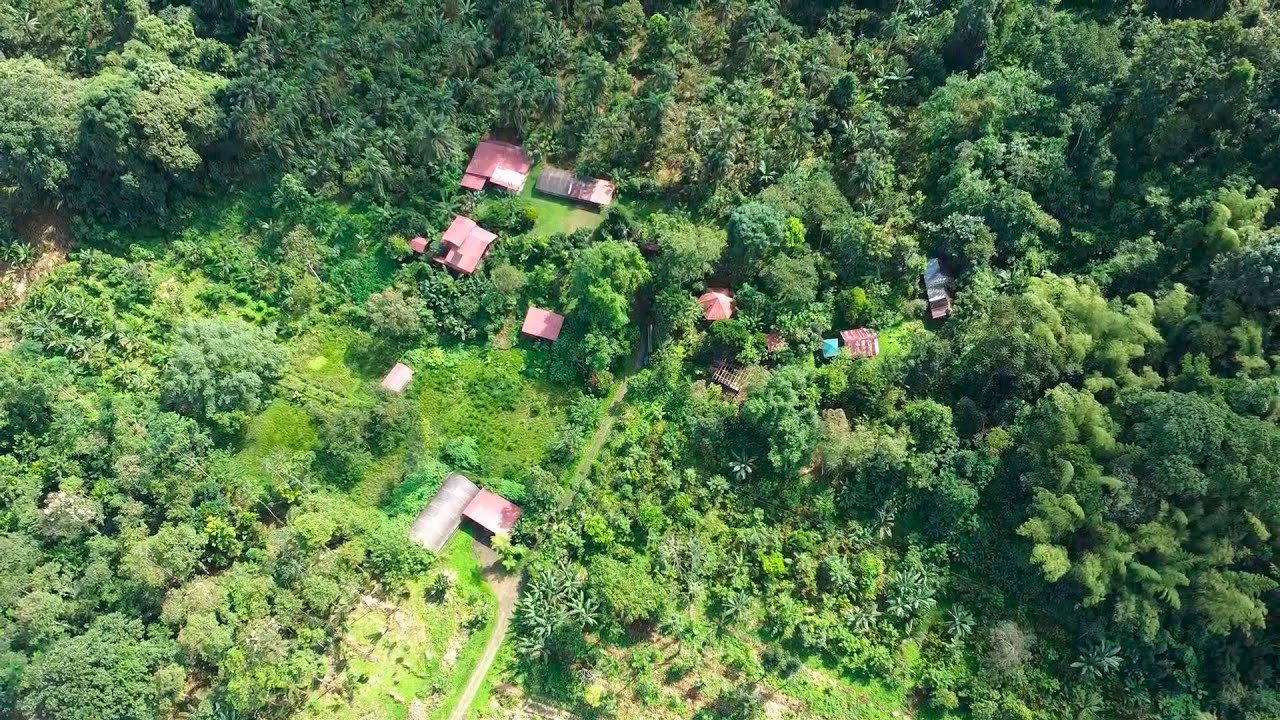 TOUR de CHOCOLATE REGENERATIVO Agroforestal  - Reserva Mashpi Shungo