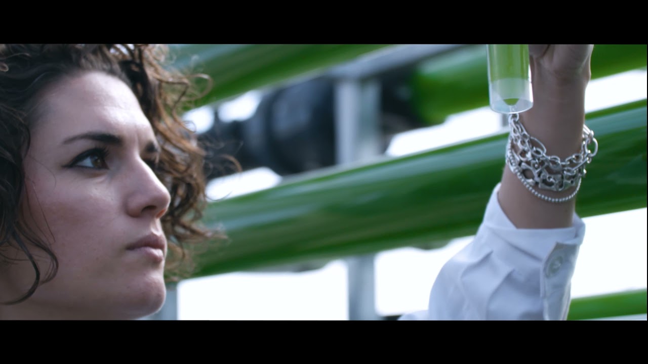 AlgaEnergy. Prendi parte alla biorivoluzione!