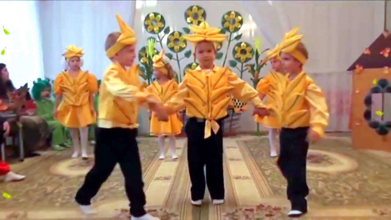 Танець колосків  на осінньому ранку 2011 в старшій групі Муз  кер  Максюта Г  В
