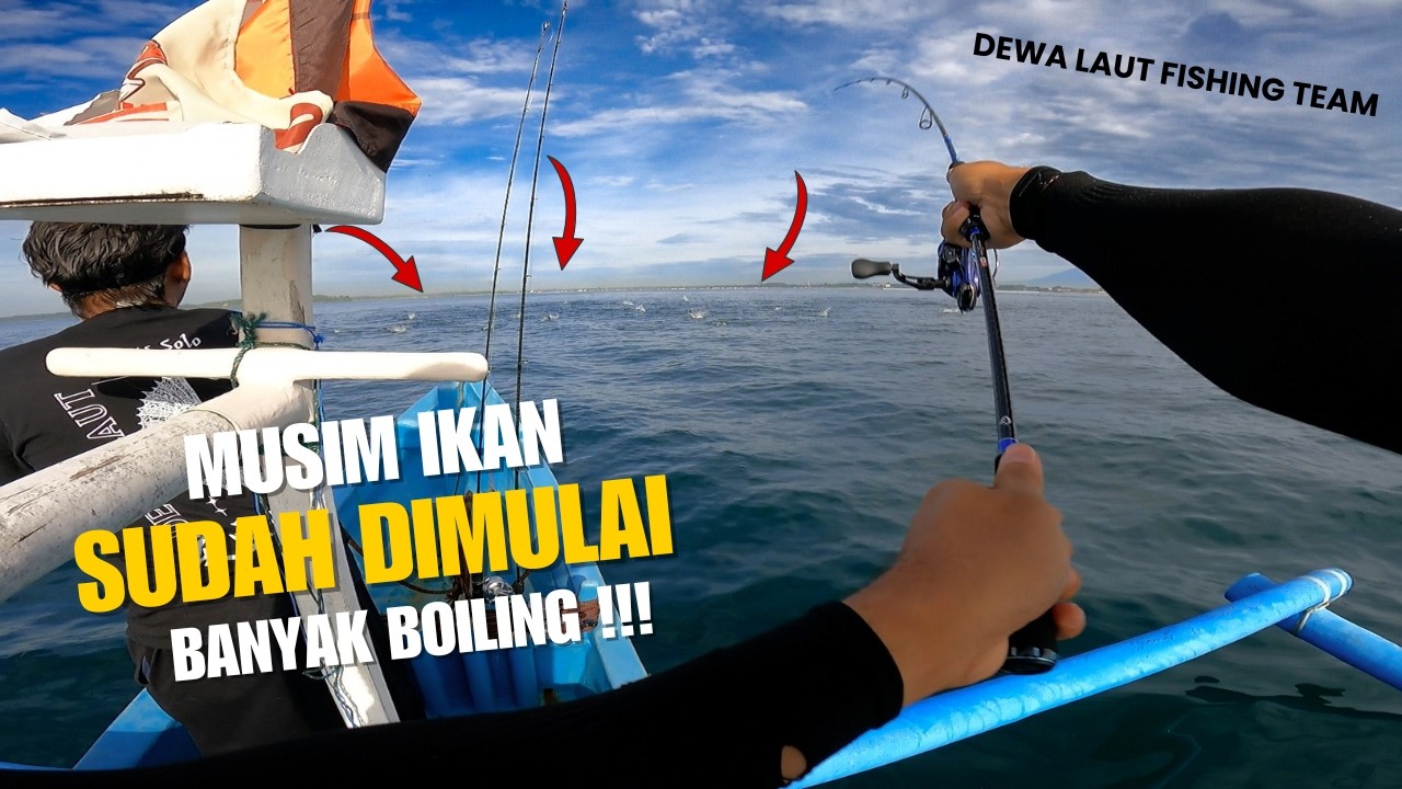 BOILING BESAR DI MERTASARI BALI 2026! Ratusan Ikan Muncul Setelah Musim Baratan Berakhir