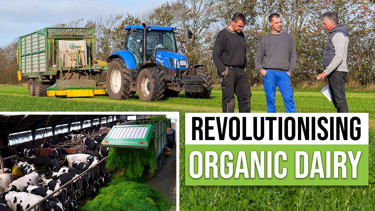Is ORGANIC the Future of Dairy Farming??