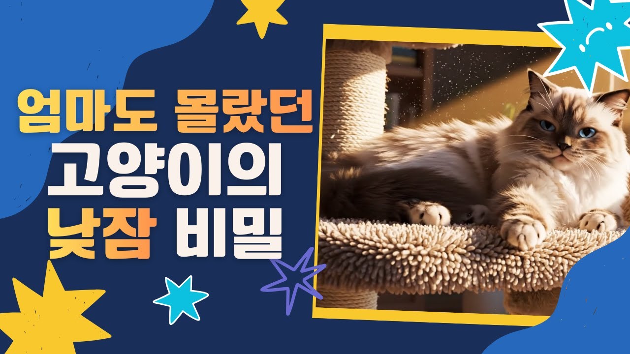 고양이는 왜 꼭 햇살 드는 곳에서 잠을 잘까? | 어린이 동물 과학 동화