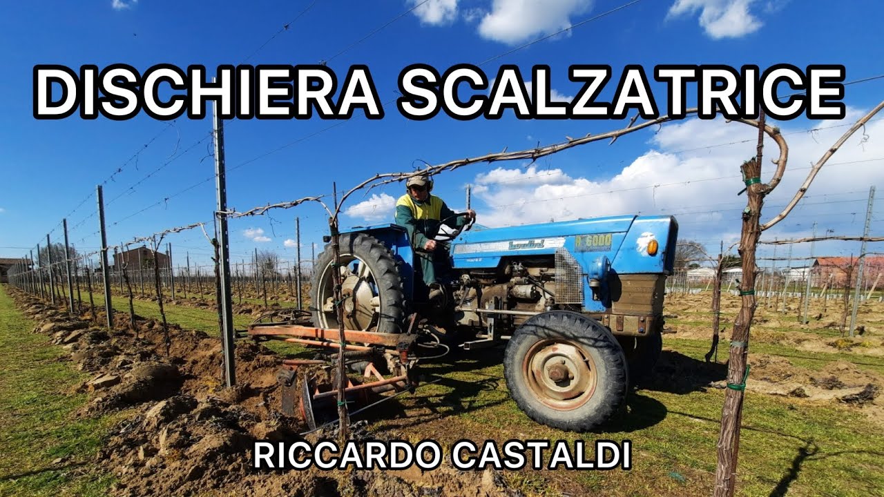 Vite. Gestione del sottofila del vigneto con dischiera scalzatrice