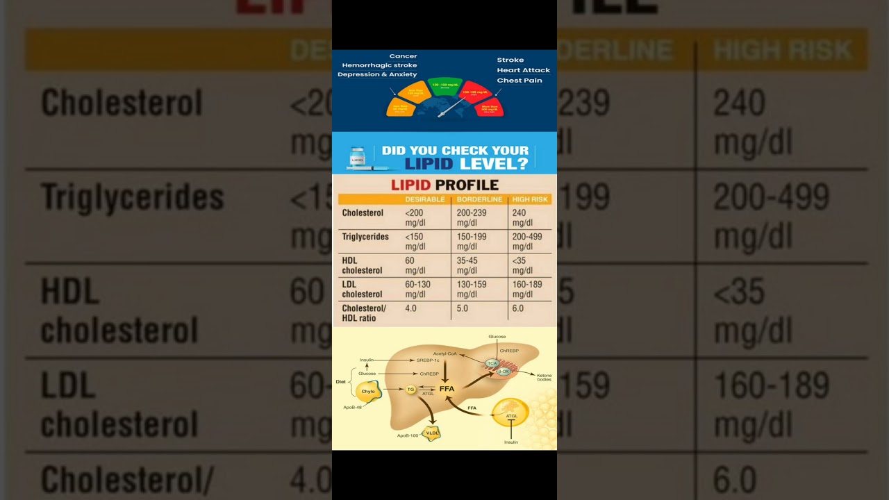 Know Your Cholesterol ।। Lipid Profile Normal Values ।।