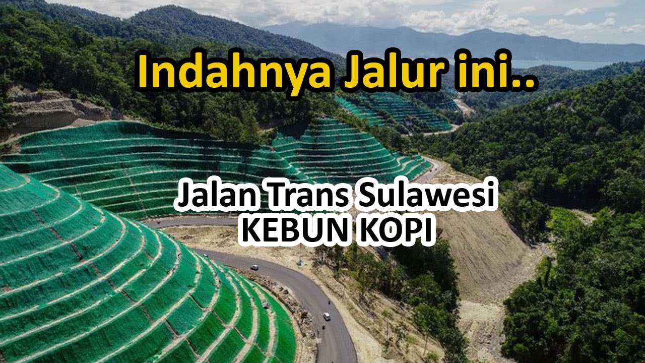 Indah dan Sejuk.. Jalur Kebun Kopi Trans Sulawesi 2022