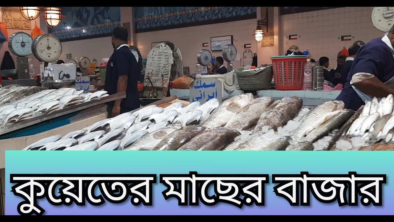 Fish Market in Kuwait. "BIGGEST FISH MARKET "" কুয়েতের মাছের বাজার।