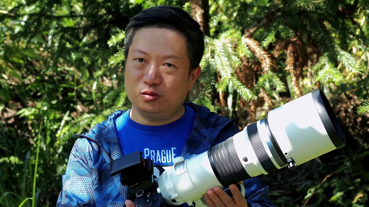 Olympus 150-400PRO : new king of bird shot