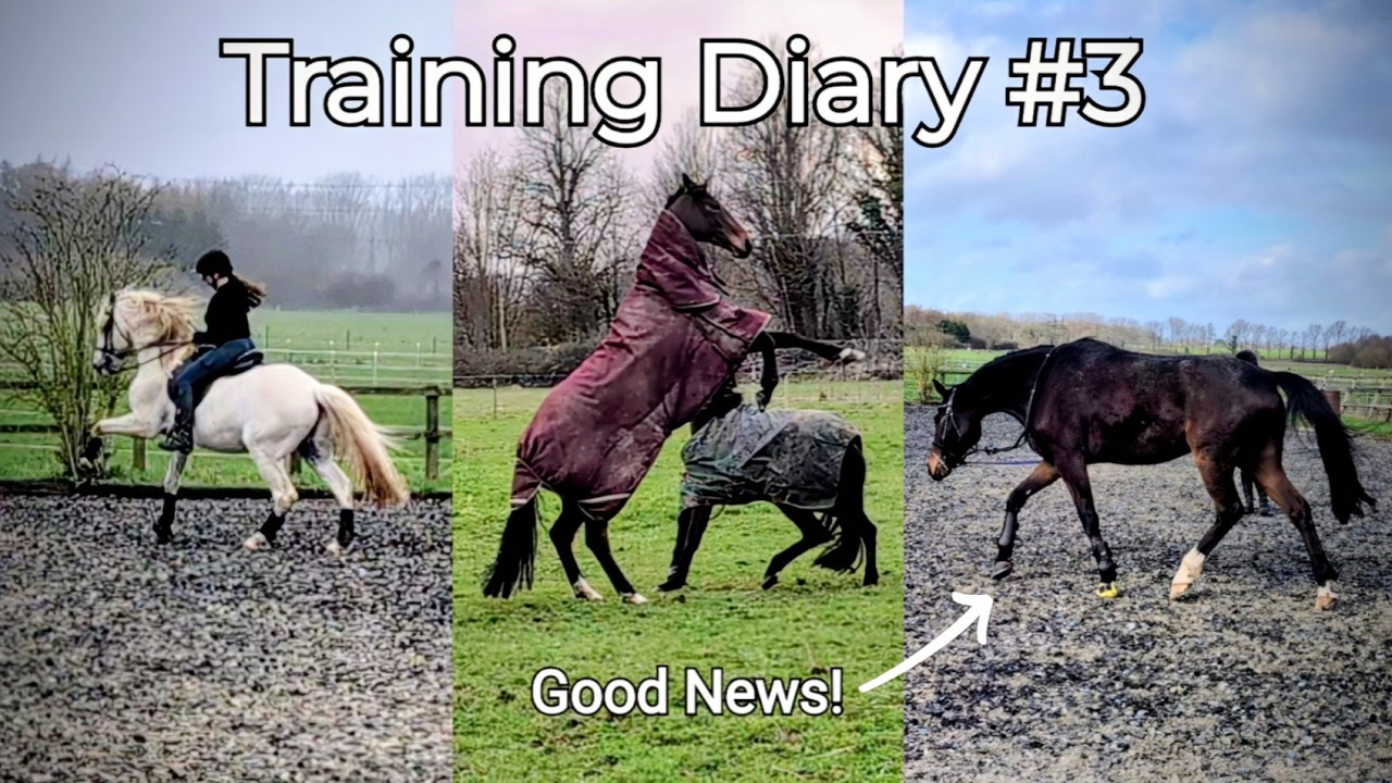 Troubleshooting Flying Changes, Getting Messy & Good News | Training Diary #3