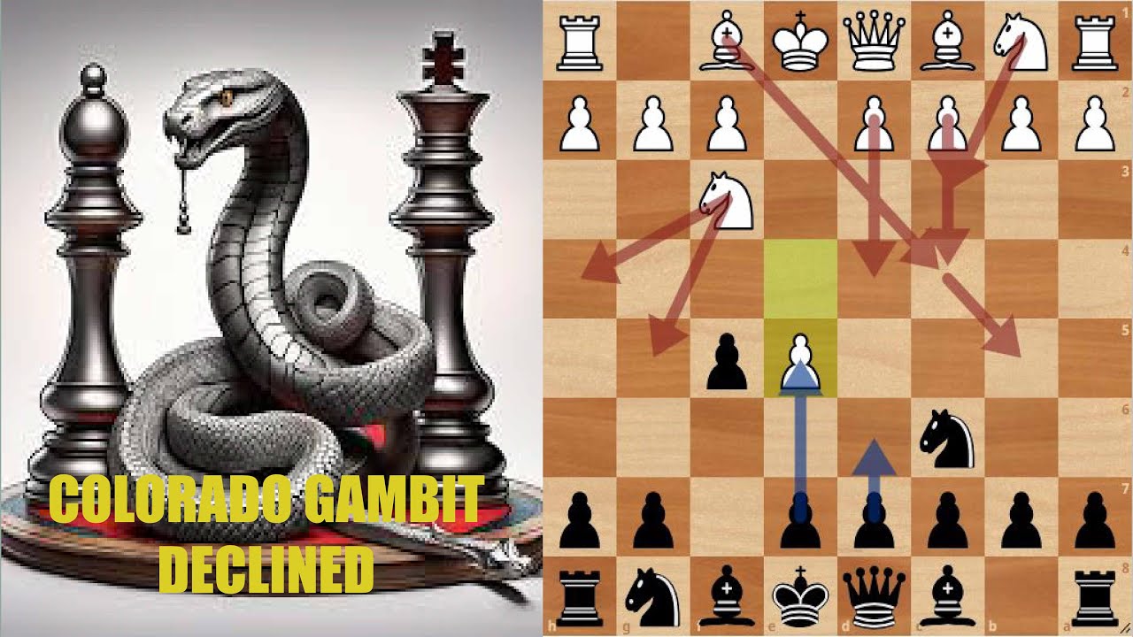 colorado gambit declined | with sample attacking grandmaster games
