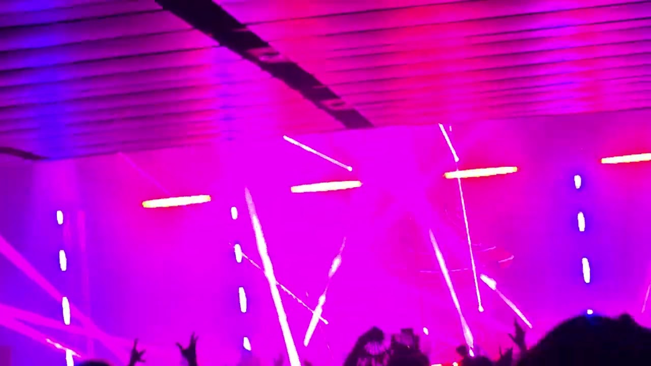 Alleycvt The Novo 2026