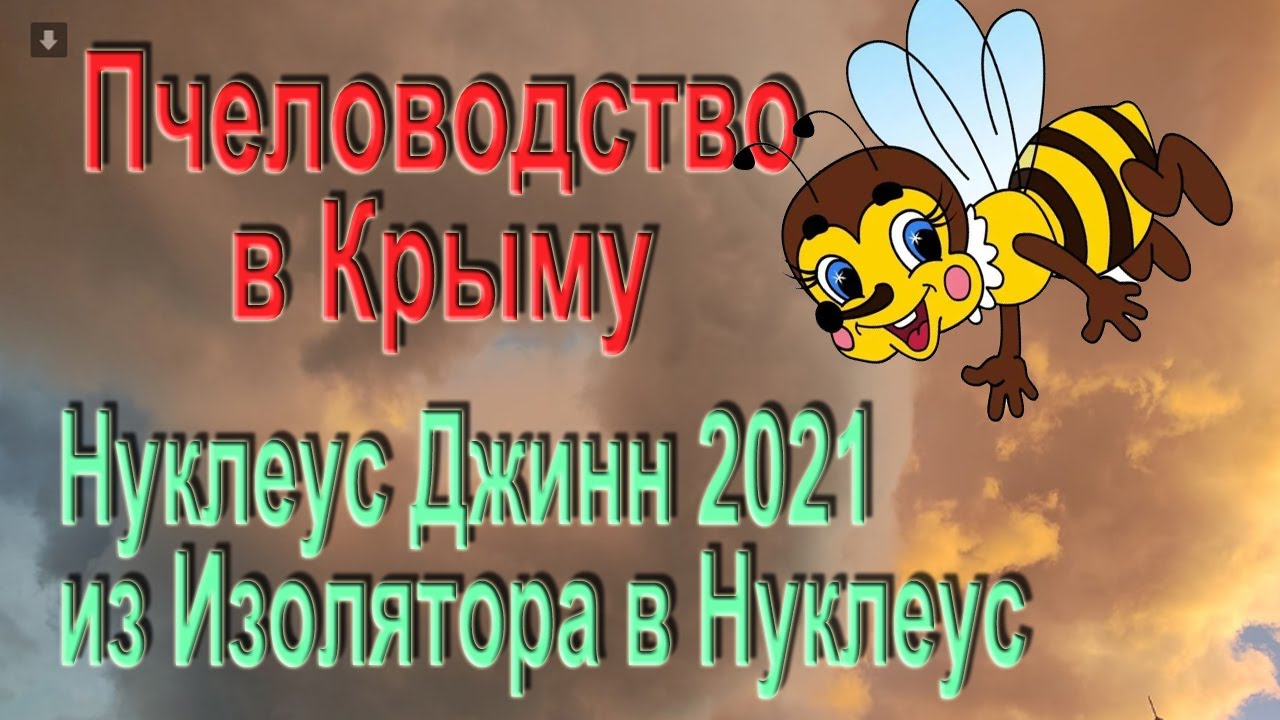 Нуклеус Джин (из изолятора) август 2021 г.