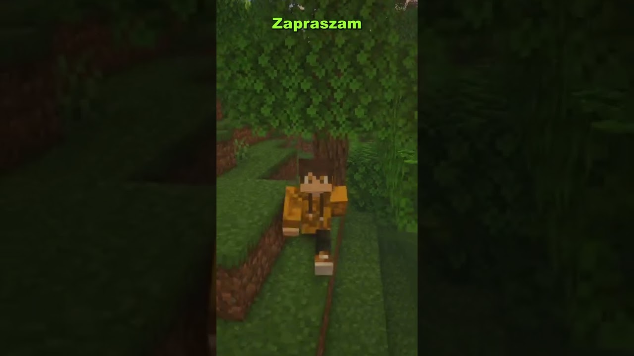 Wszystkie aktualizacje Minecrafta! || 1.13.2 #tiktok #minecraft #1.13 #update Subskrybuj po więcej;)