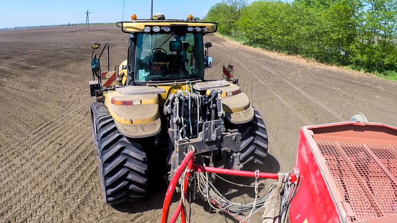 Cab View | Semis 2018 - CAT Challenger MT 865C | Borsó vetés