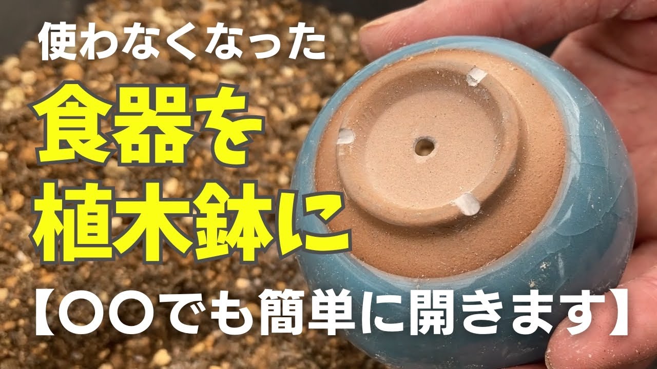 【再生DIY】捨てる前にちょっと待って！湯呑みが最高の植木鉢に。眠っていた食器に穴を開けてみよう！