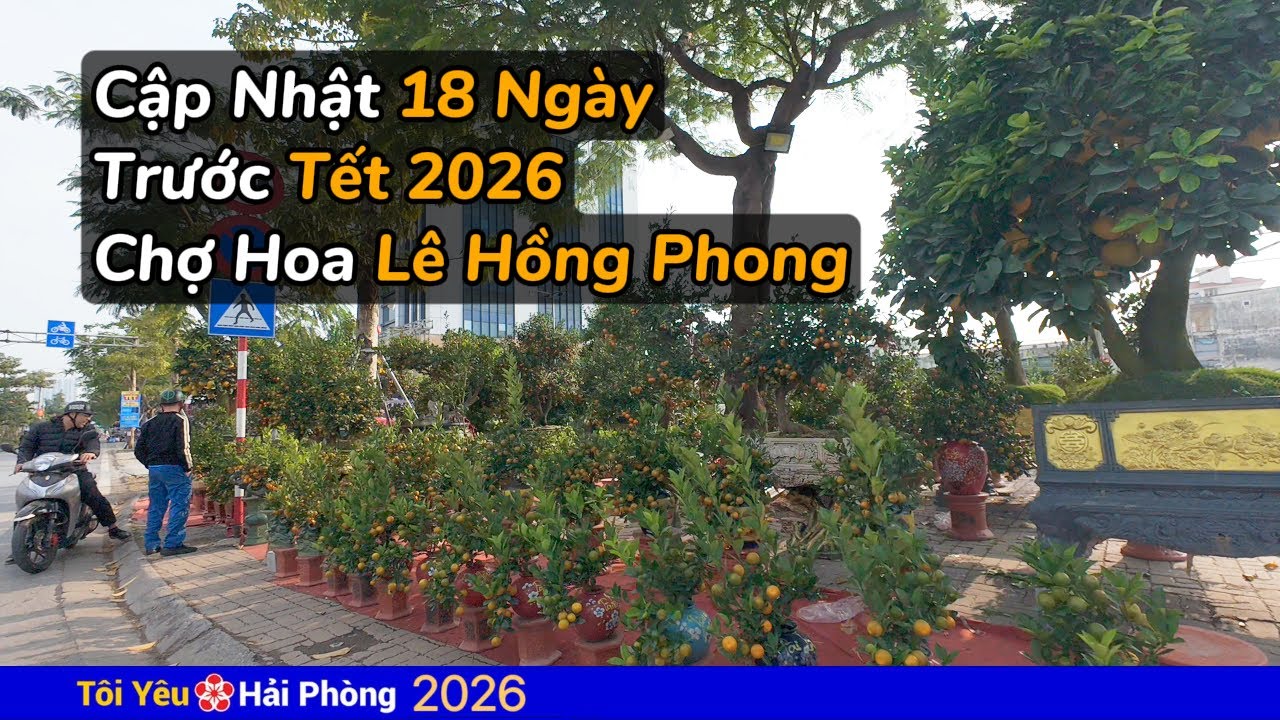 Chợ hoa Tết 2026 đường Lê Hồng Phong trước 18 ngày ở Hải Phòng
