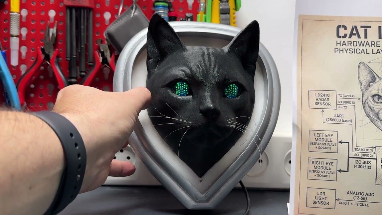 My cat robot
